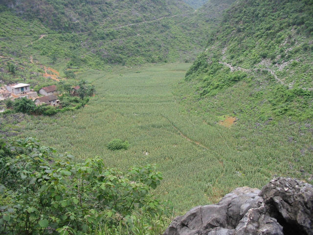 IMG_0027.JPG