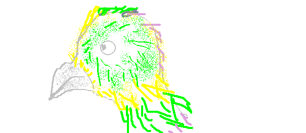 5.gif