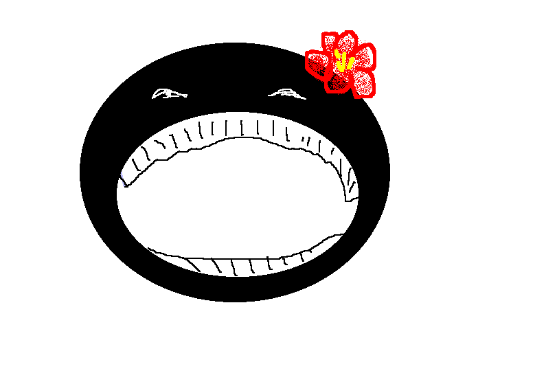 01.gif