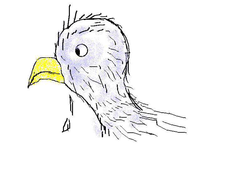 0.gif