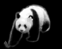 15632.gif