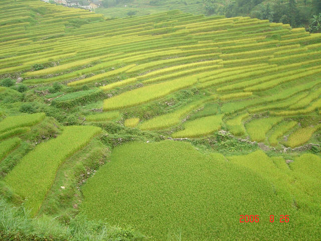 DSC08480.JPG