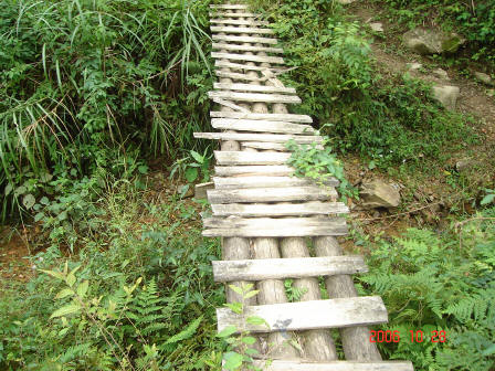 DSC09352.JPG