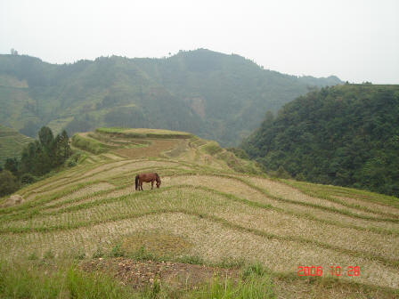 DSC09357.JPG