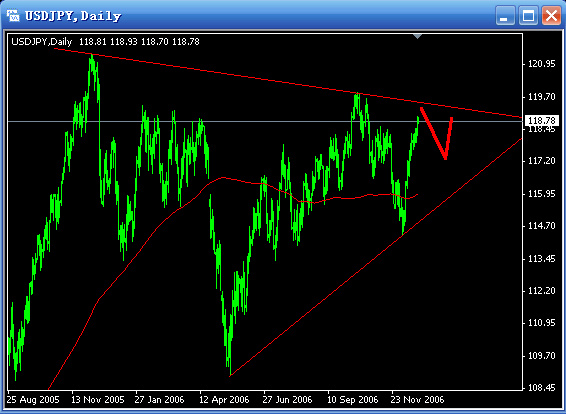 20061226-usdjpy01.gif