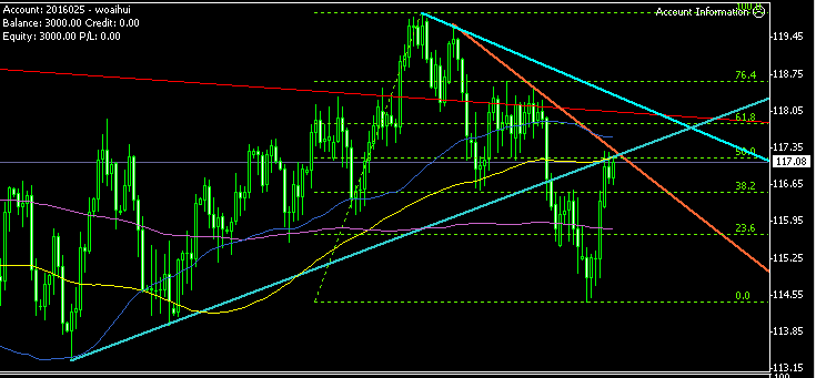 USDJPY DAILY (12--13).gif