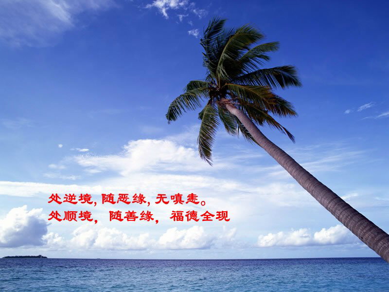 11_171_761ee2c01853b5a.jpg