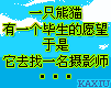 806512_919001.gif