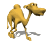 骆驼.gif