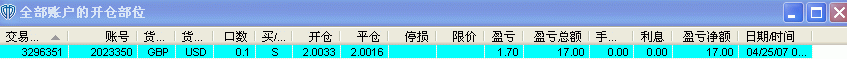 2007GIF.GIF