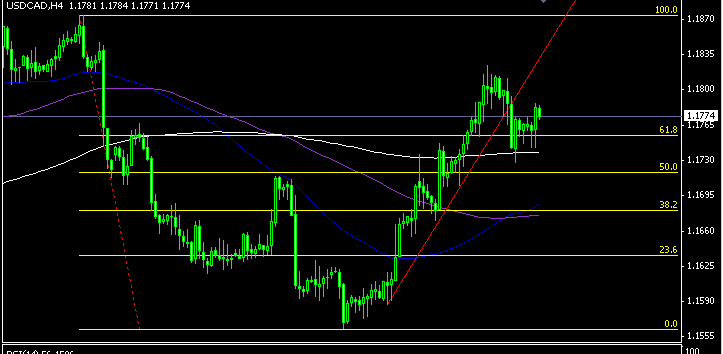 USDCAD h4 (03-07).gif