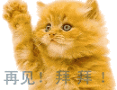 CFC083DFF8D13028C4CD56BEF76139D2.GIF