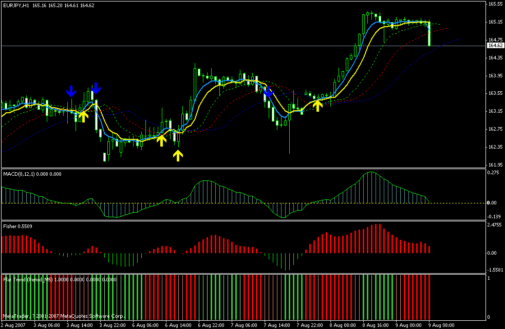 20070809eurjpy-2.gif