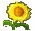 献花.gif