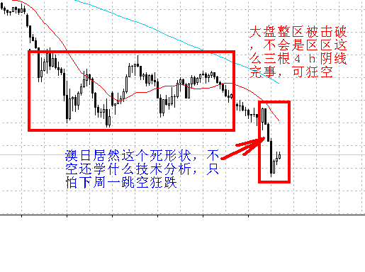 澳日４ｈ.GIF