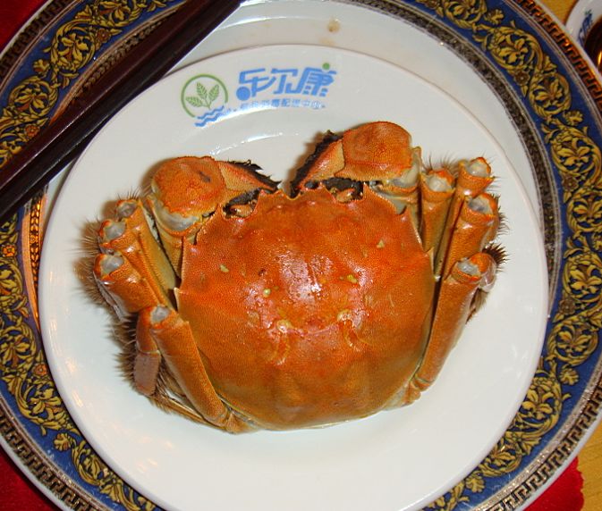 大闸蟹.jpg