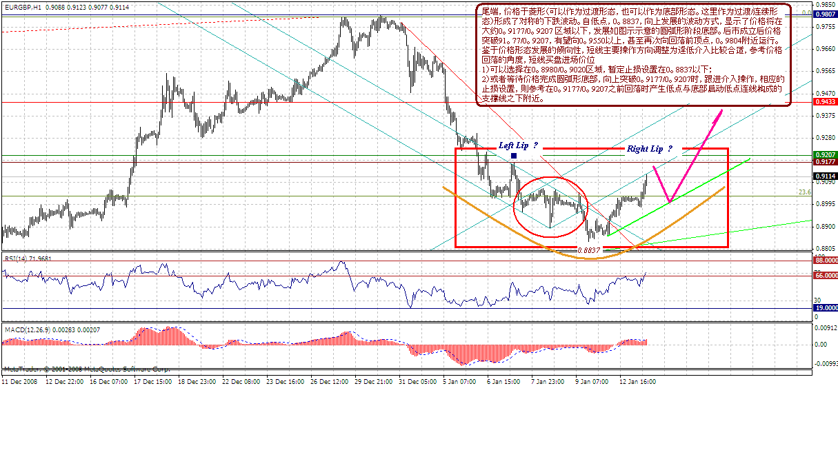 eurgbp-h-1-13-08.gif