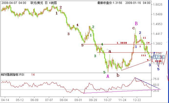 欧元日2009年1月16日.JPG