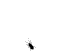20071013_b963e423660bc0d2f244eCes4SkjLlsp.gif