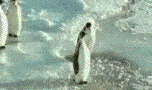 0007138967.gif