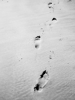 0812_26184.jpg