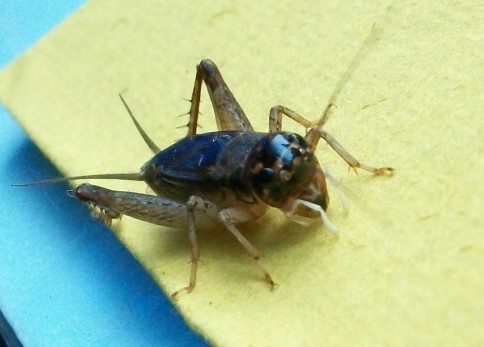 100_0402.jpg