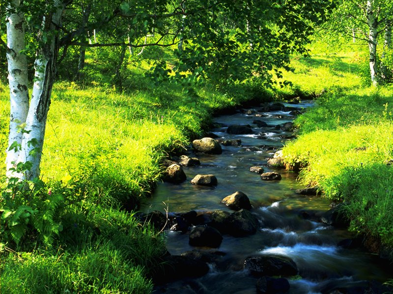 20080702_8b3c8f3c9ead4e381ebeIXCYRY5mziGX.jpg