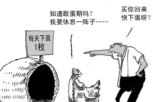 xin_5130904070948156136162.jpg