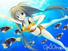 100006460138223.gif