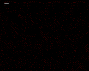 δ.gif