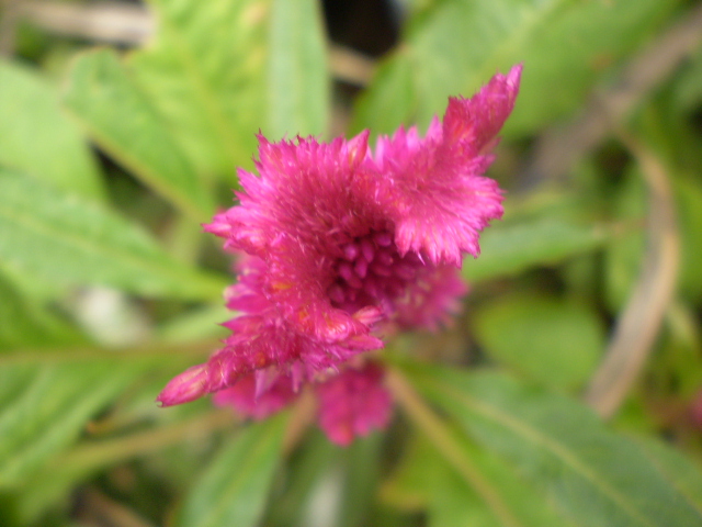 P9262231.JPG