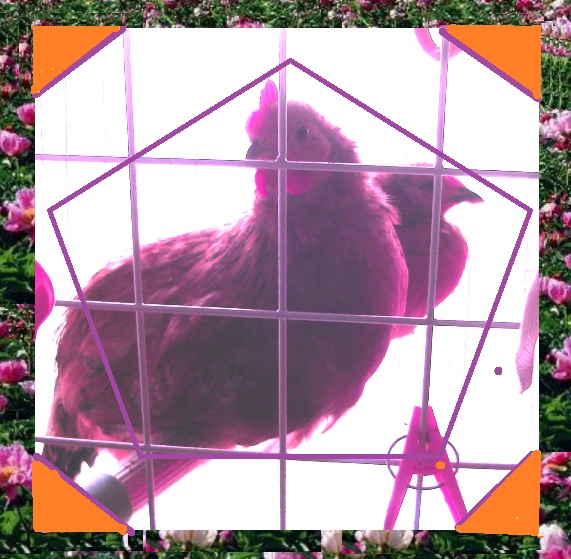 ʺͺ2.jpg