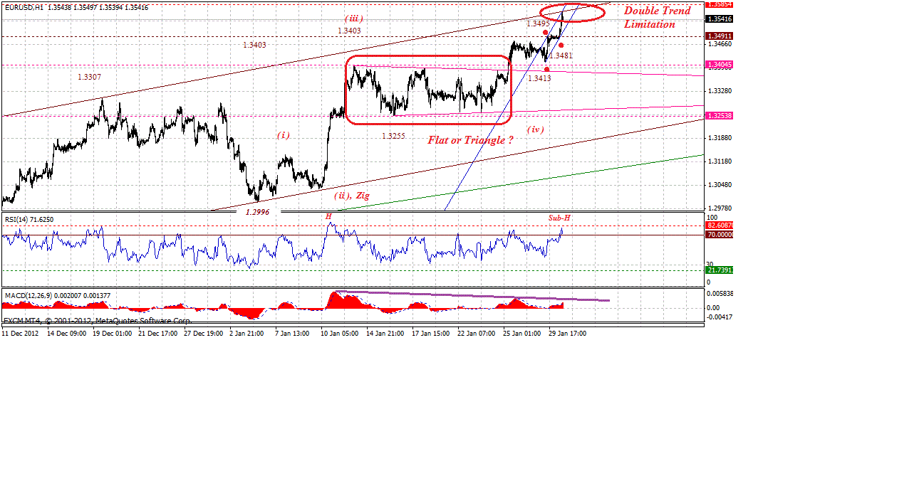 eur-h-1-30-2013.gif