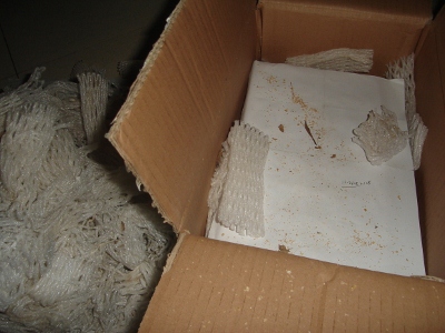 DSC00457 (400x300).jpg