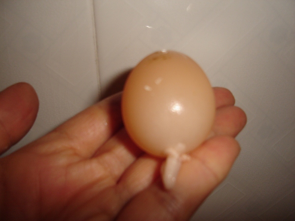DSC00472 (600x450).jpg