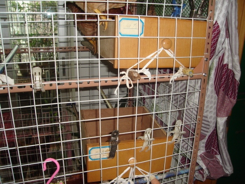DSC00585 (500x375).jpg
