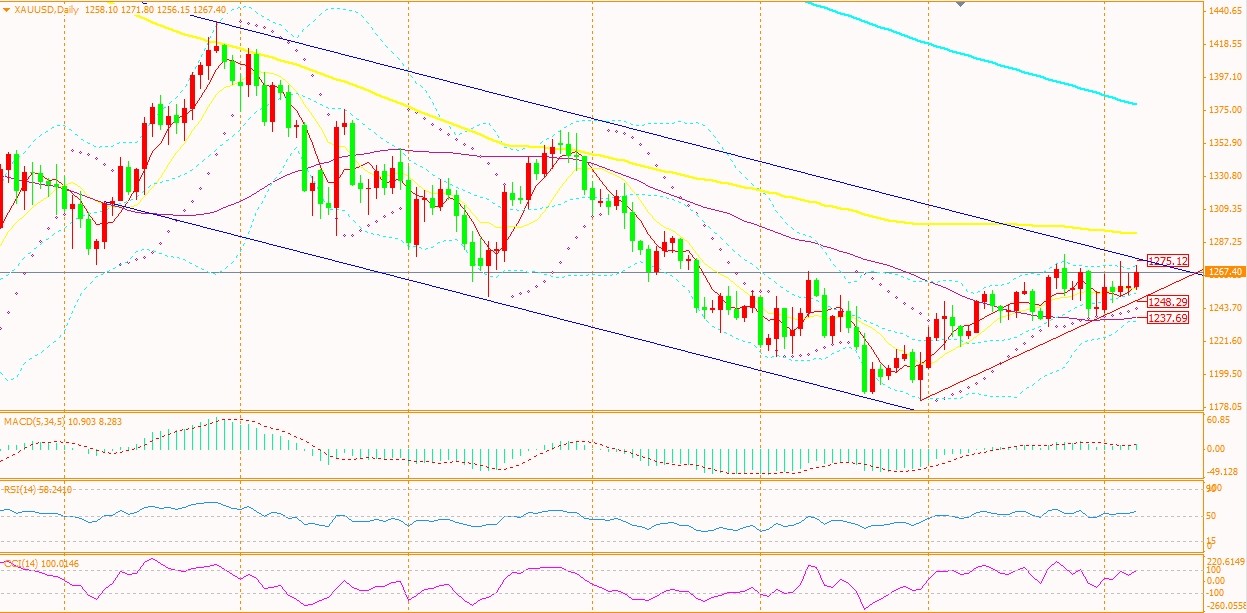 黄金2.jpg 黄金2.jpg