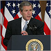 2_41_022603_bush2.jpg