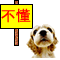 .gif